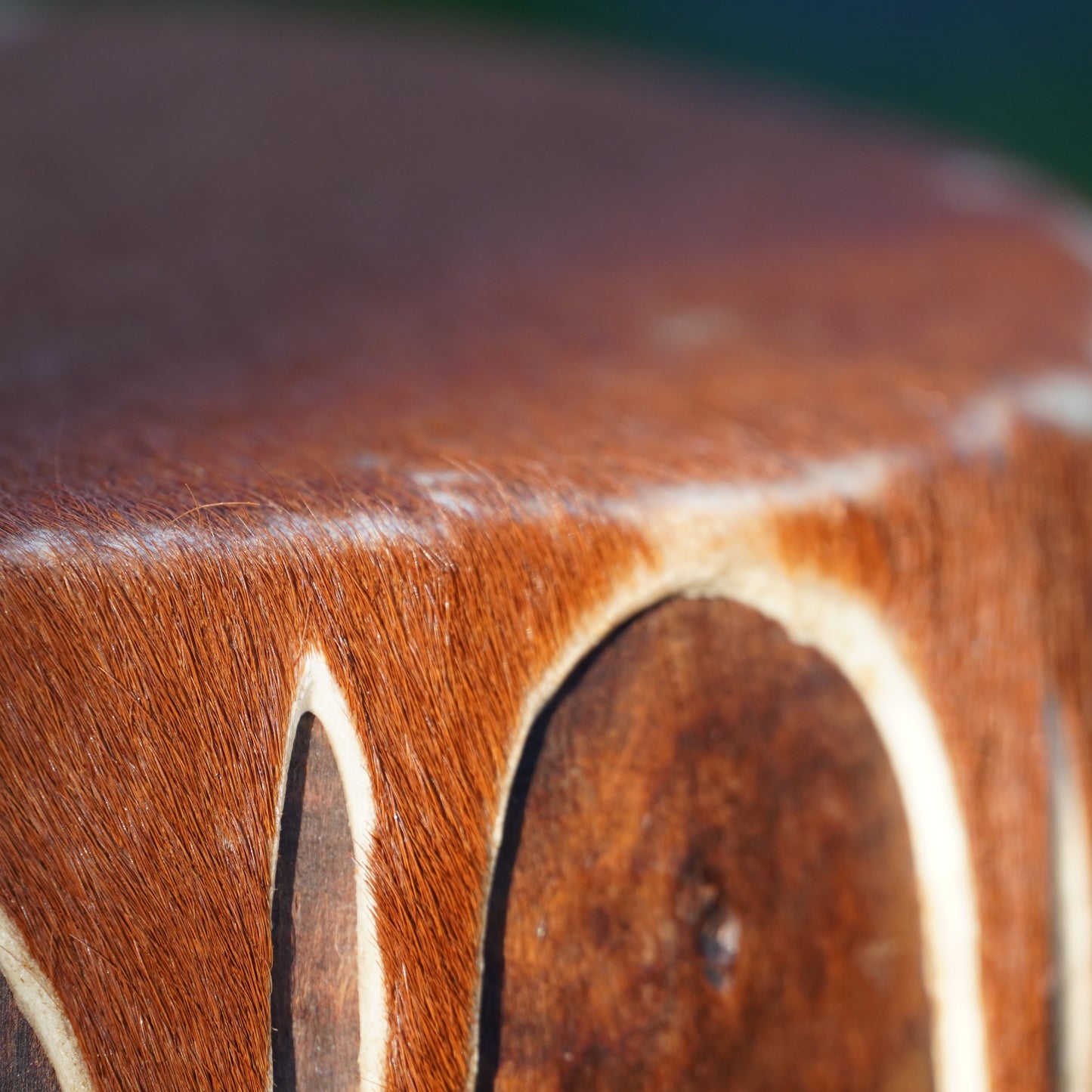 Authentic African Drum – Intricately Carved Wood with Natural Hide
