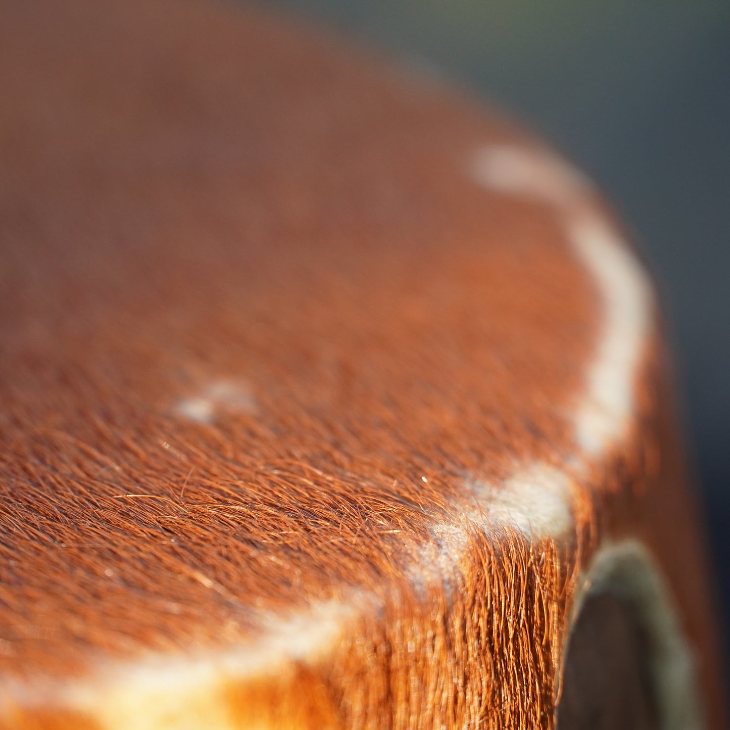 Authentic African Drum – Intricately Carved Wood with Natural Hide